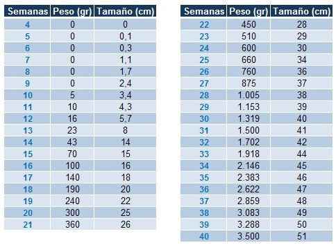 tabla medidas