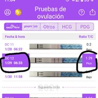 Buscadoras Marzo 2021 💪💘👶🏻 - 1