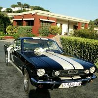Hoy me caso con... ¡este coche! - 1