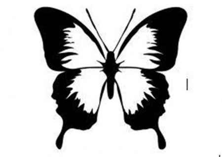 Plantilla