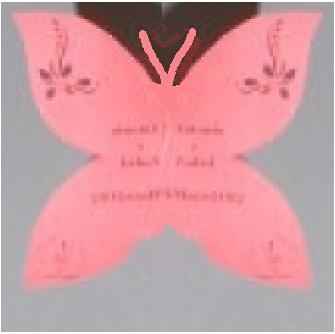 Mariposa