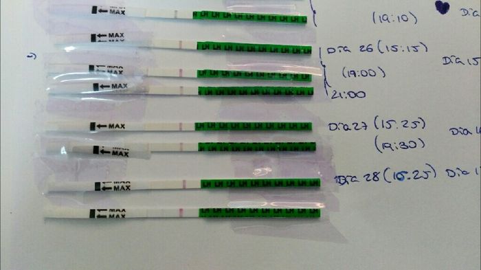 Resuelvo dudas sobre los to (test de ovulacion) - 1