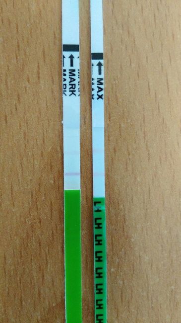Resuelvo dudas sobre los to (test de ovulacion) - 1