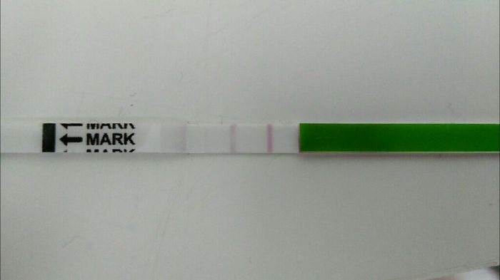 Resuelvo dudas sobre los to (test de ovulacion) - 1