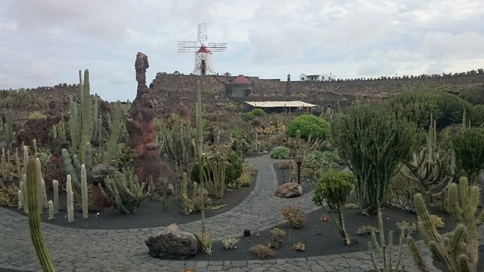 Luna de miel: lanzarote - 2