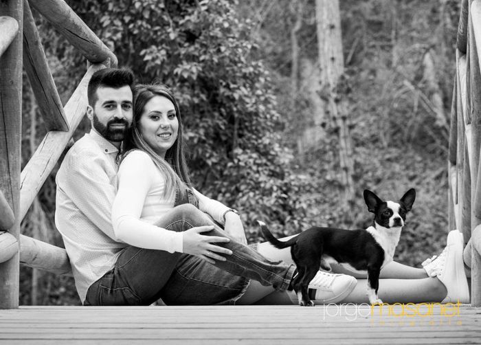 Dilema preboda... sí o no? - 2