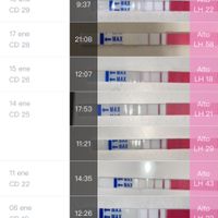 Test de ovulación positivos antes de regla - 1