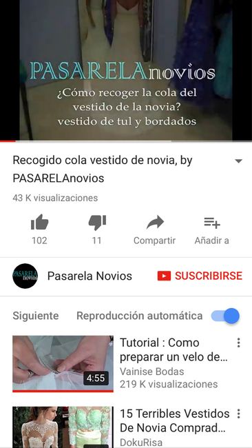 Cola del vestido - 1