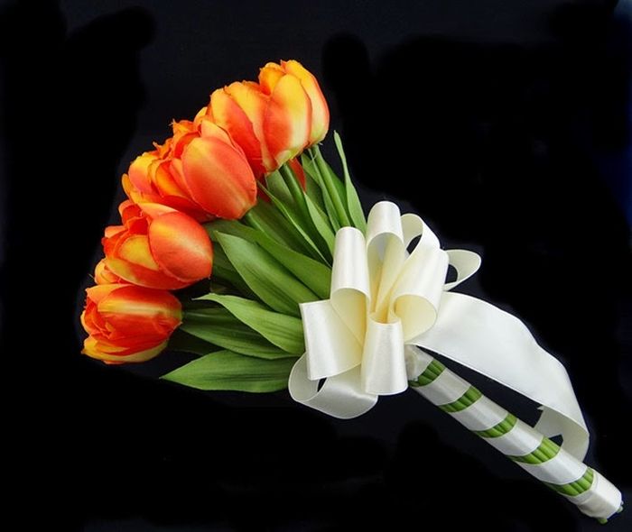 tulipanes