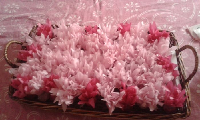 Mis Nenúfares de Arroz