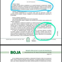 Las nuevas medidas de las juntas de Andalucia - 1