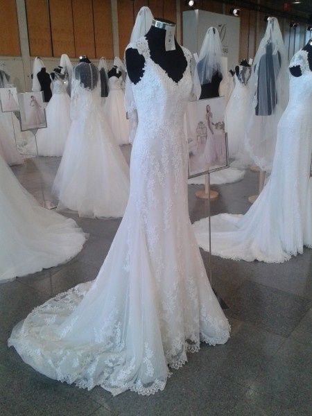 Colección Fashion
