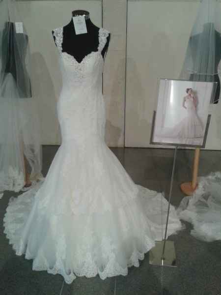 Colección Fashion