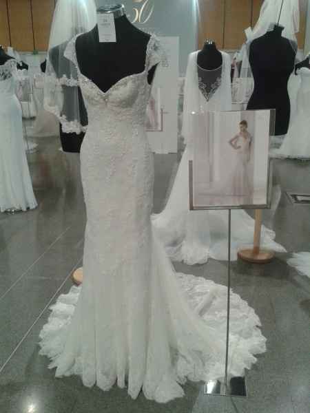 Colección Fashion