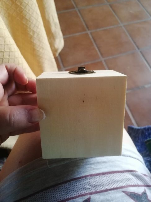 Ya tengo la caja de las alianzas!! - 4
