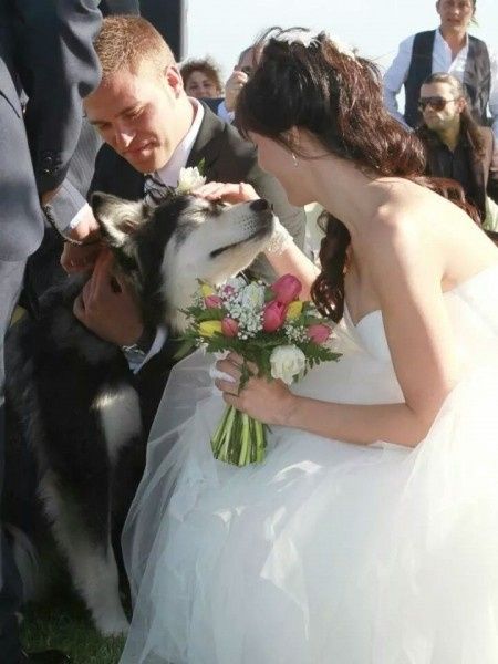 Mi Boda y Post boda ! - 2