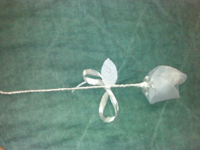 rosas