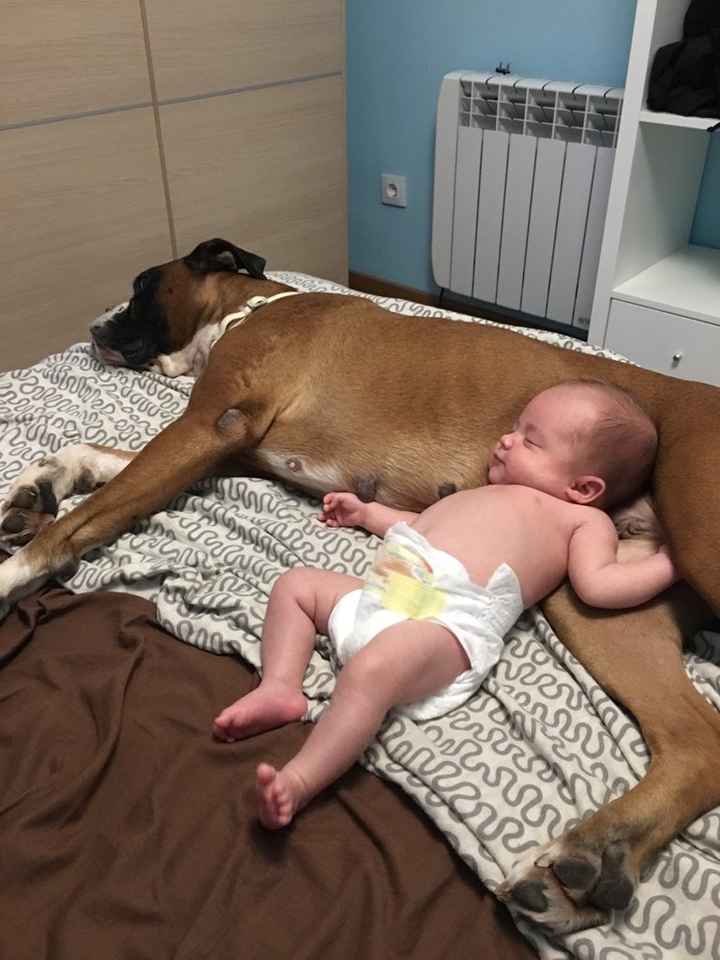 Futuras mamas septiembre 2016 - 1