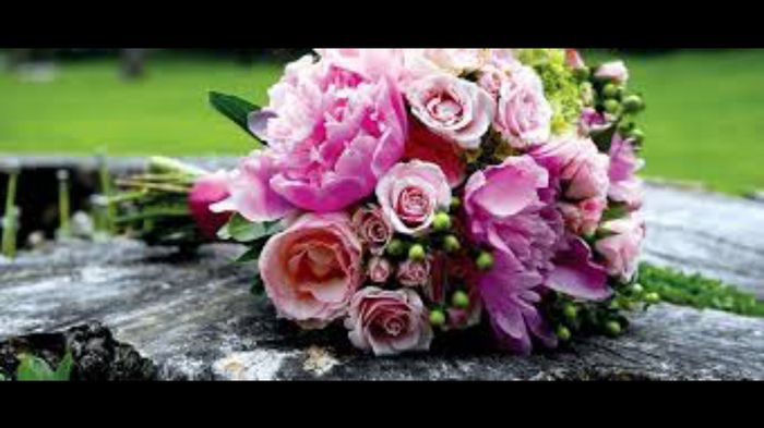 Rosas o peonias - 1