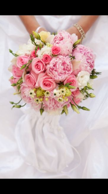 Rosas o peonias - 2
