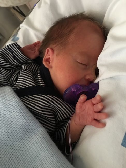 Futuras mamas septiembre 2016 - 2