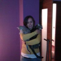 Mis gatos!!