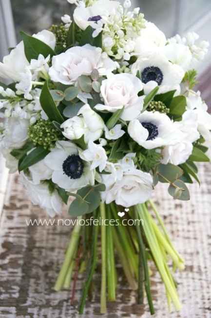 anemonas