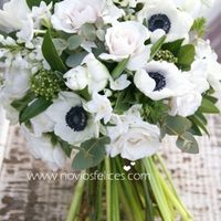 anemonas