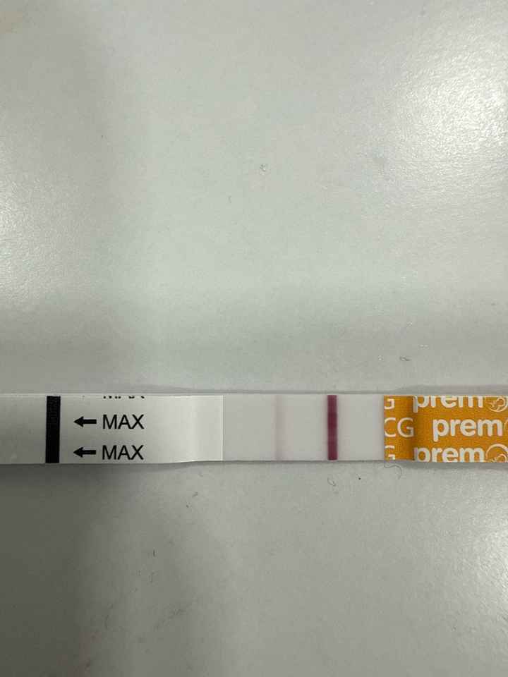 Buscadoras más de 1 año - 2022 - 1