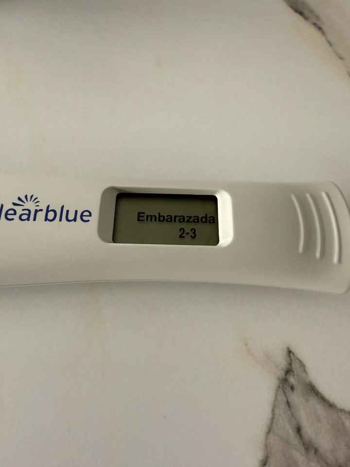 Buscadoras más de 1 año - 2022 - 1