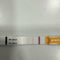 Buscadoras más de 1 año - 2022 - 1