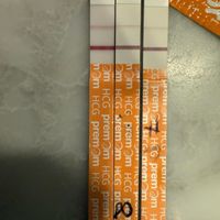 ❄️🎅🏻🎄 Buscadoras Diciembre 2025☃️🎁 ❄️ - 1