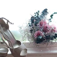 Mis zapatos