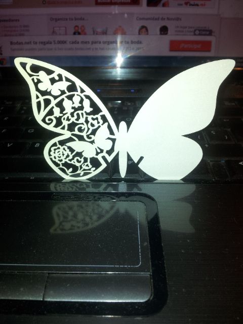 Mi mariposas
