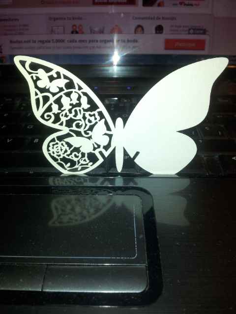 Mi mariposas