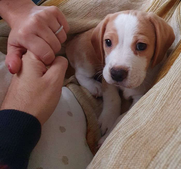 El comienzo de todo esto! 