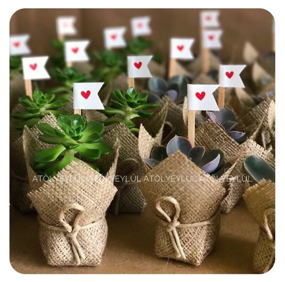 plantas boda