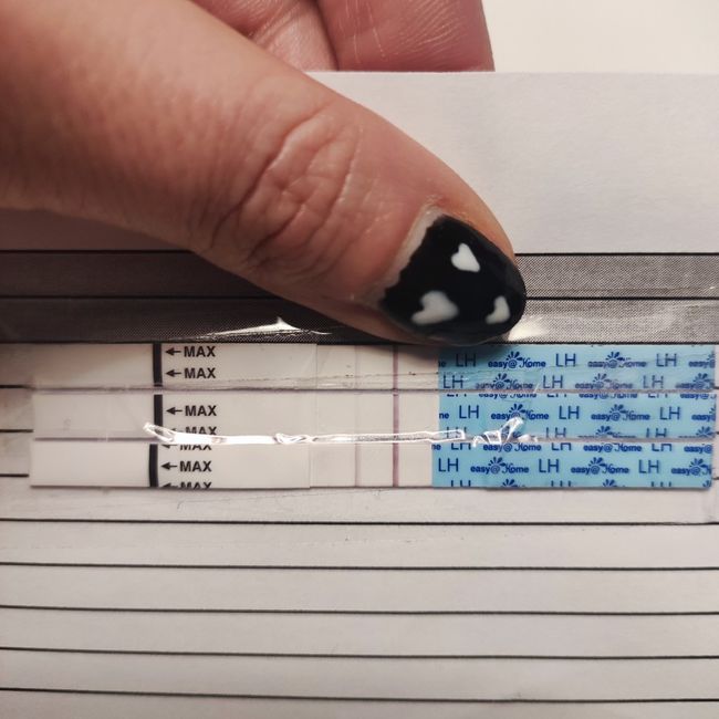 buscadoras febrero 2022 - 1