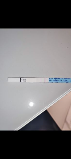 buscadoras febrero 2022 - 2