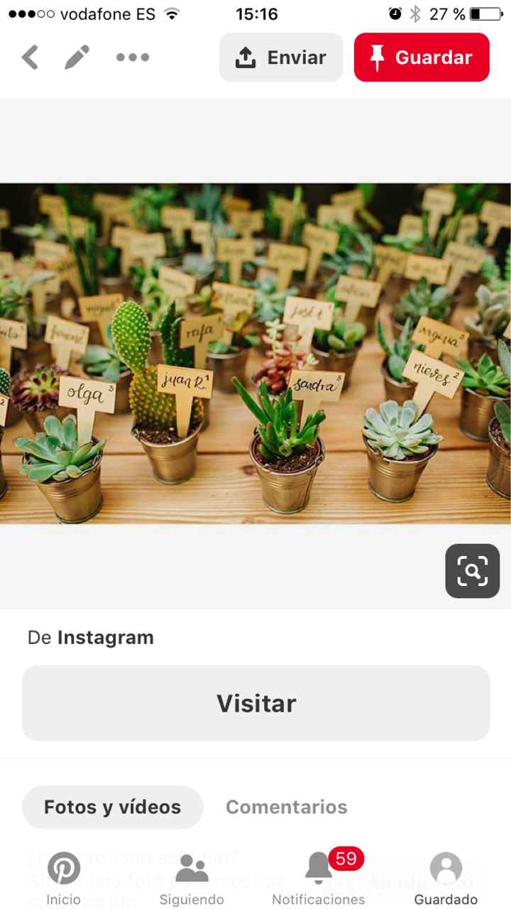 Marcasitios para cactus? - 1