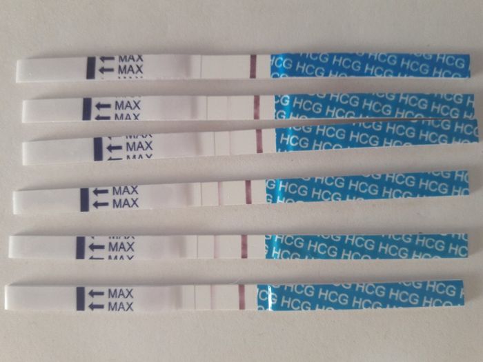 Evolusión test embarazo