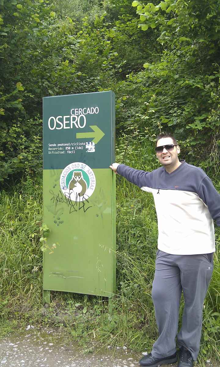 visitando los osos