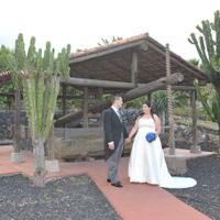 en el lagar de la finca