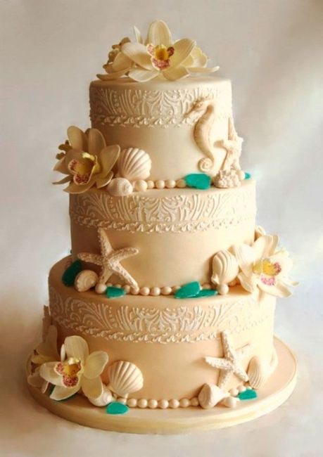 tarta 6