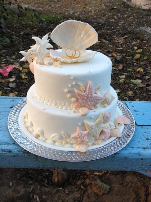 tarta 13