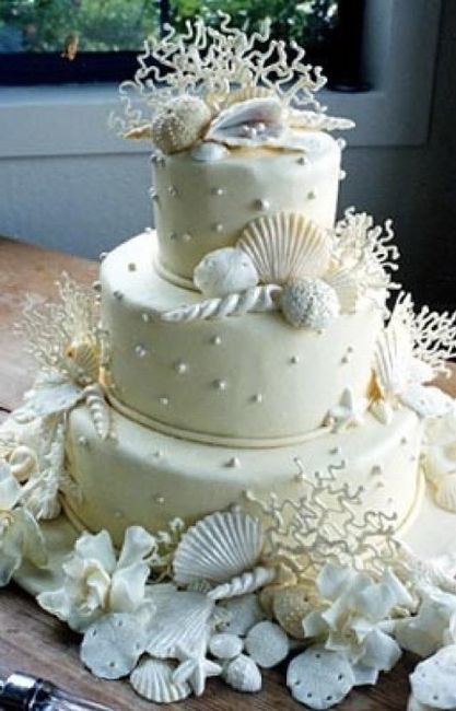 tarta 15