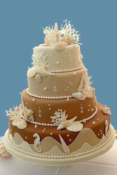 tarta 9