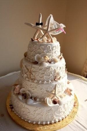 tarta 13