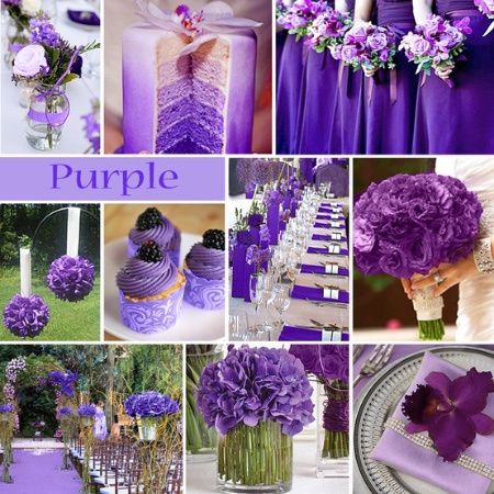 morado 5