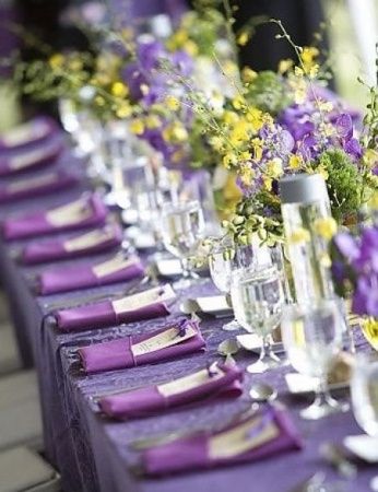 morado 8